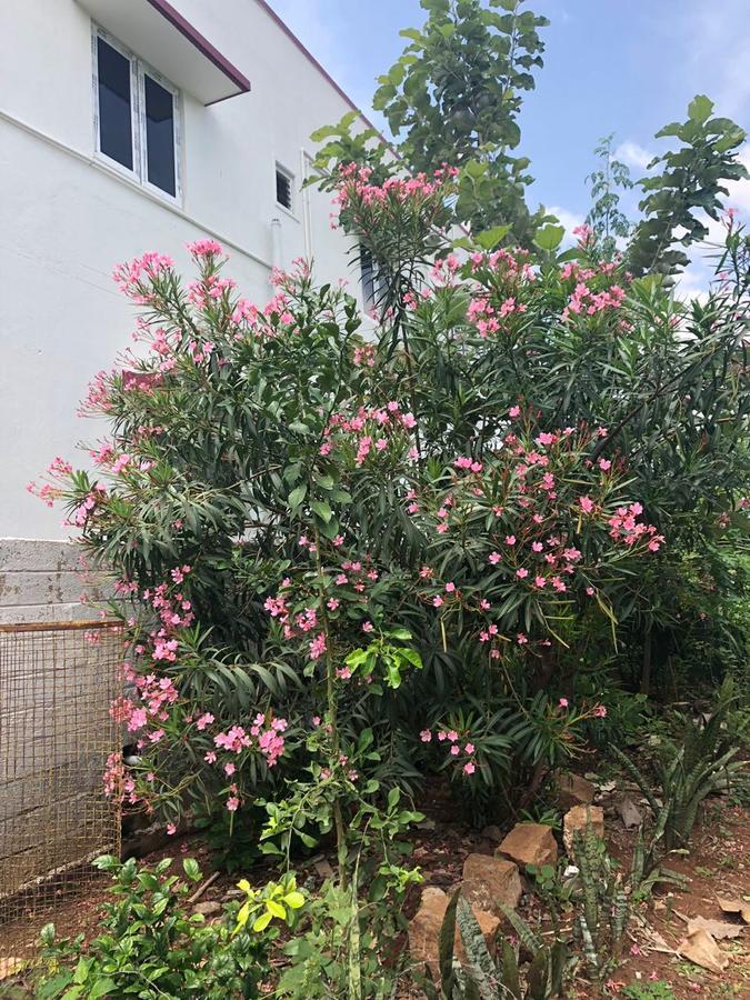 Castle 50 Villa Coimbatore Dış mekan fotoğraf